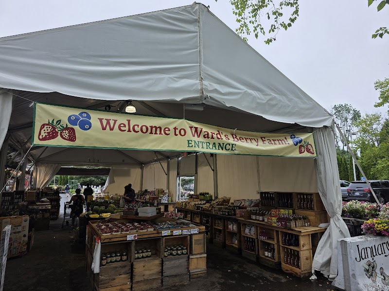 Wards Berry Farm
